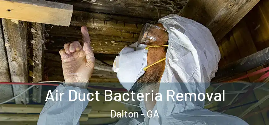  Air Duct Bacteria Removal Dalton - GA