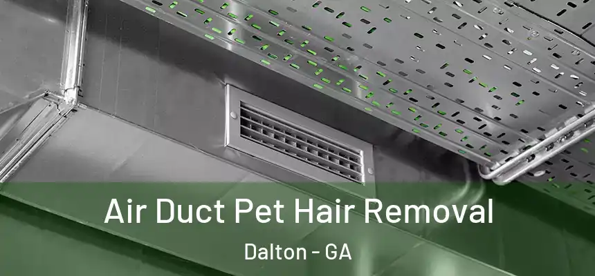 Air Duct Pet Hair Removal Dalton - GA