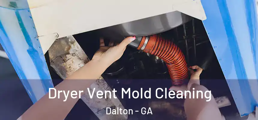 Dryer Vent Mold Cleaning Dalton - GA