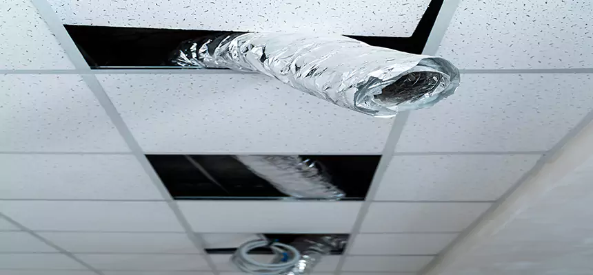 Our Air Duct Pet Hair Removal Services in Dalton, GA