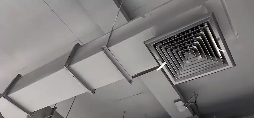 Our Pest Removal From Ducts Services in Dalton, GA