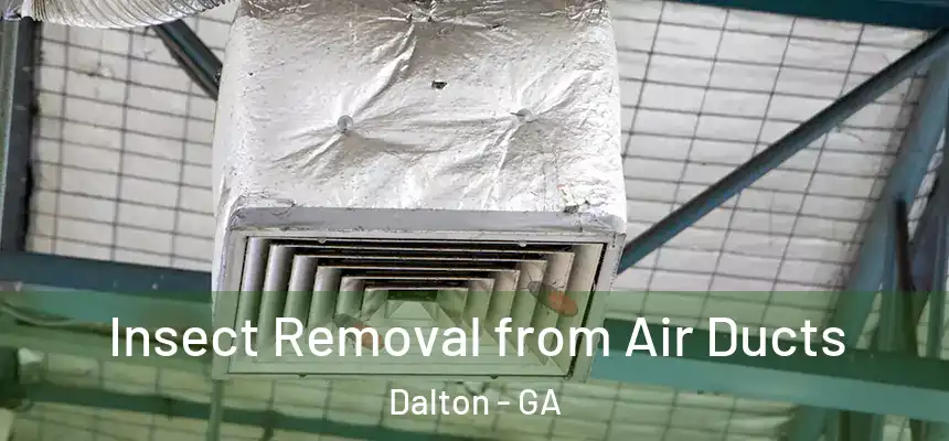 Insect Removal from Air Ducts Dalton - GA