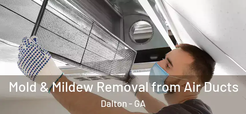  Mold & Mildew Removal from Air Ducts Dalton - GA