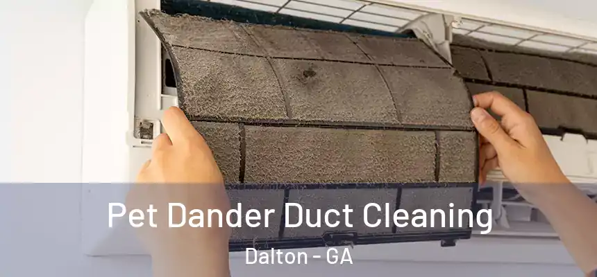 Pet Dander Duct Cleaning Dalton - GA
