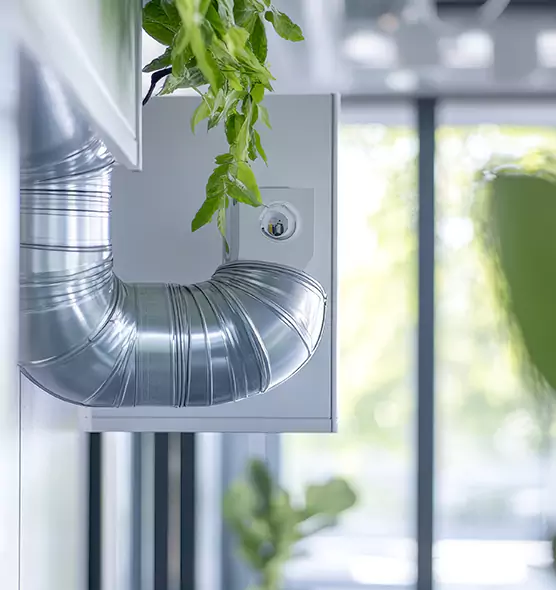 Professional Eco-Safe Dryer Vent Cleaning in Dalton, GA