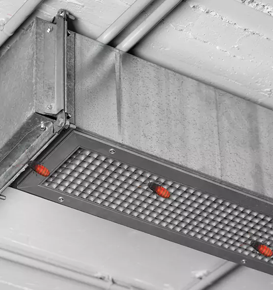 Affordable Insect Removal from Air Ducts in Dalton, GA