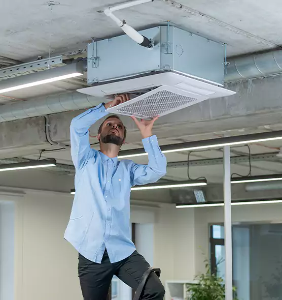 Advanced Rodent Droppings In Vents in Dalton, GA
