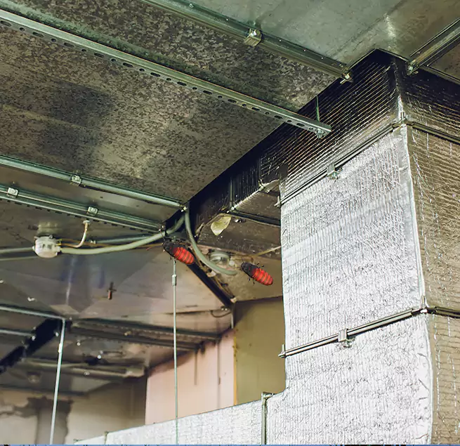 Why Homeowners & Businesses Trust Us in Dalton, GA?