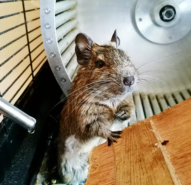 Why Homeowners & Businesses Trust Us Dalton, GA