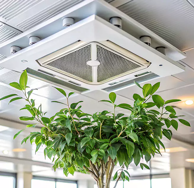 Why Homeowners & Businesses Trust Us in Dalton, GA